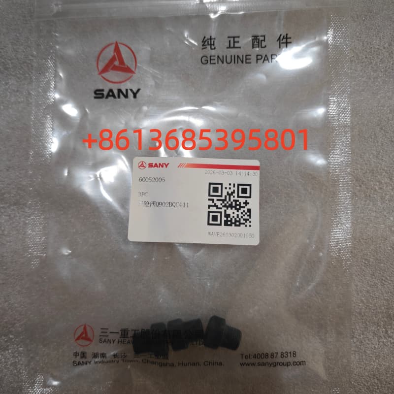 #60052005 Safety valve