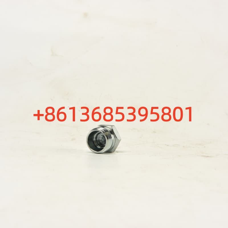 #B210780000077 Pipe end plug