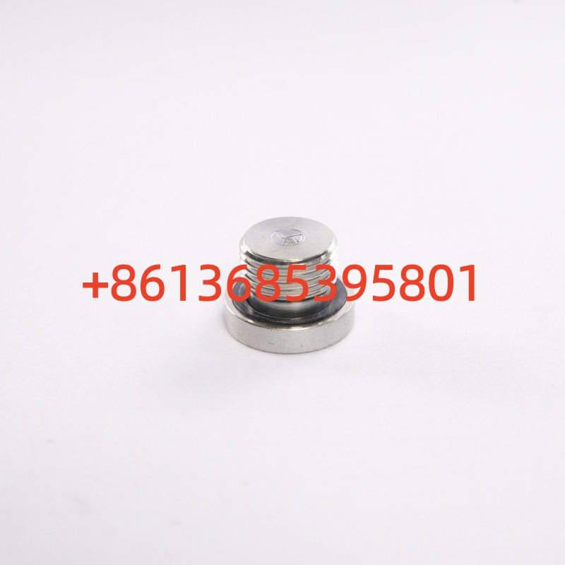 #B210399000005 Screw Plug