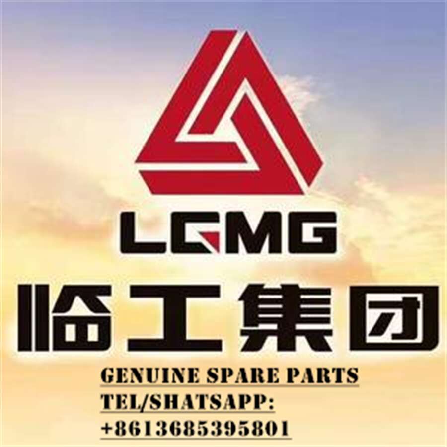26010000801 Air Filter 11110532 (P783611) LGMG Original Parts
