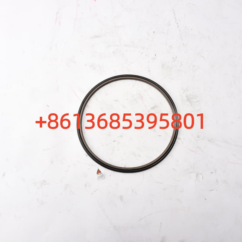 #A880806030016 GS Sealing Ring