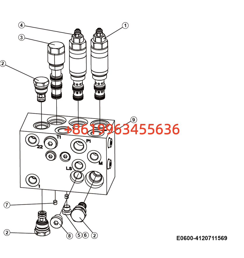 4120711569 Filling valve manifold ST5036-A00D (11499)