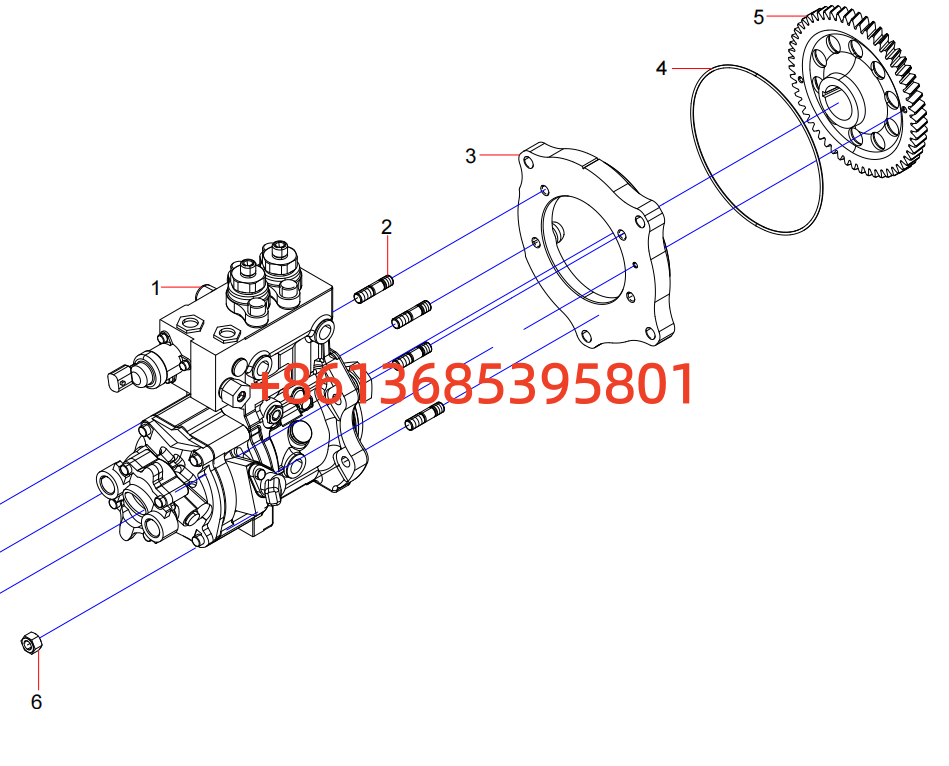 61000166 Fuel Injection Pump Assembly