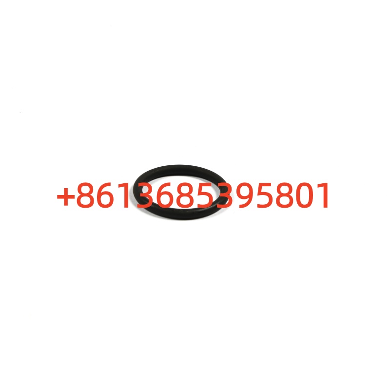 60129208 O-ring​