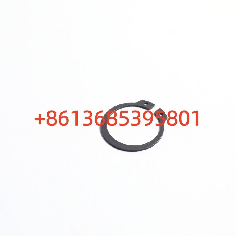 60163024 Retaining ring for shafts (elastic)​